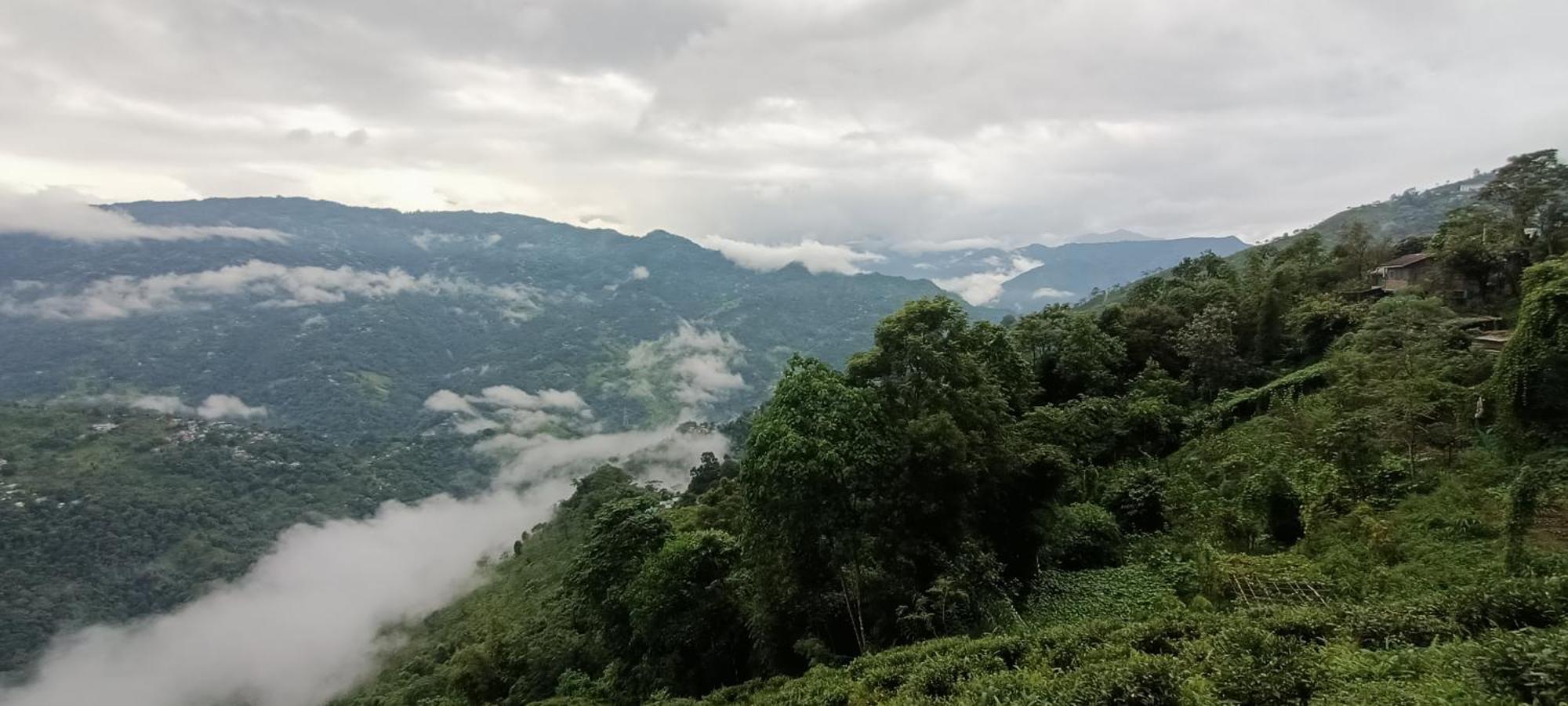 Tharbaling Homestay Darjeeling  Exterior foto